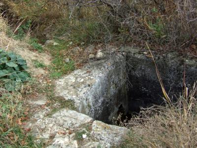 Прикрепленное изображение: DSCF6038.jpg